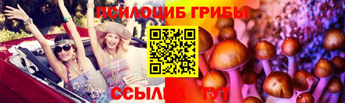 Псилоцибиновые грибы MAGIC MUSHROOMS Лысьва